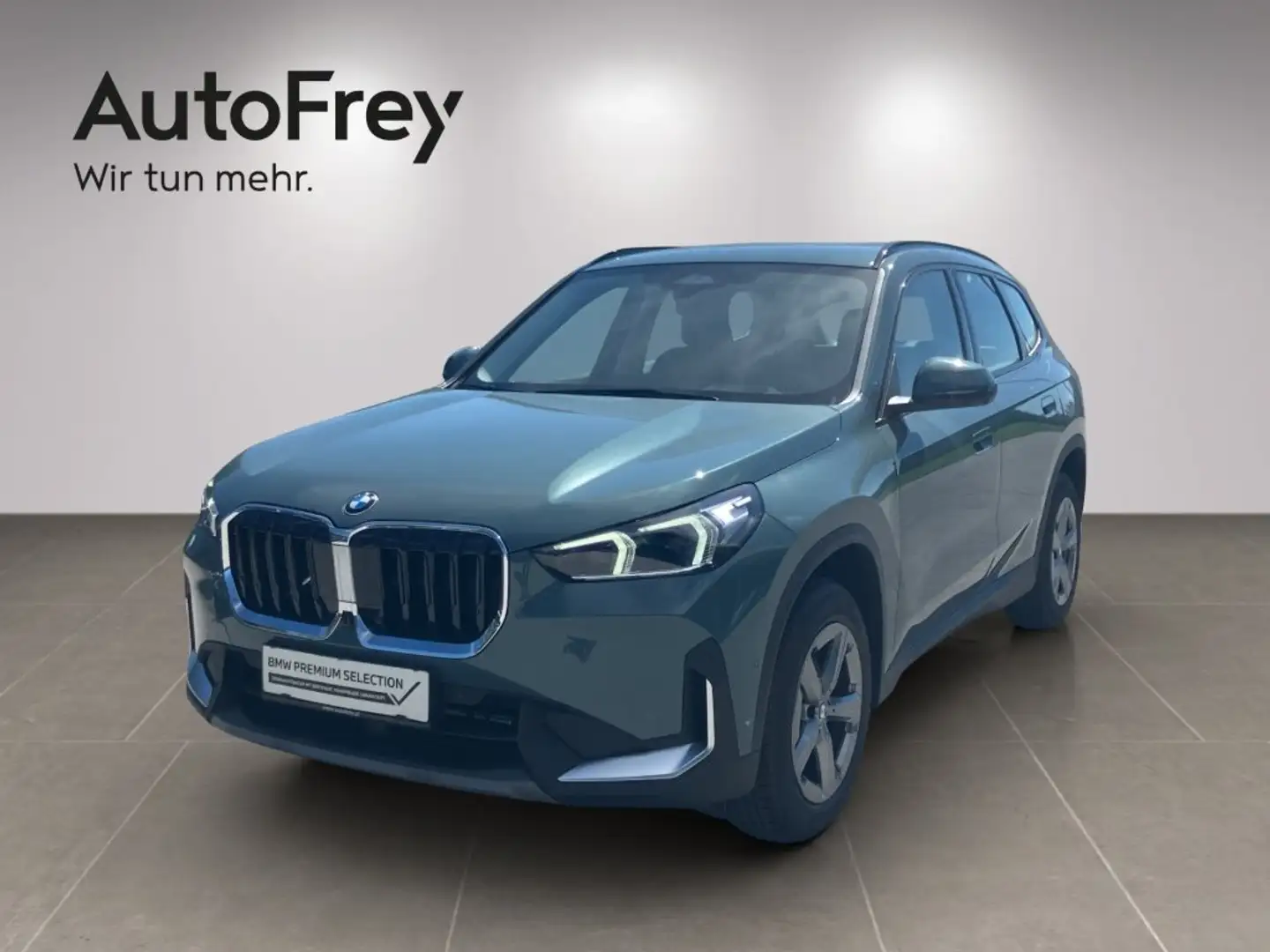 BMW X1 X1 xDrive20d Grün - 1