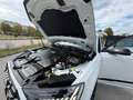Audi Q7 60 TFSI e quattro S line Weiß - thumbnail 12