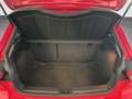 SEAT Ibiza 1.0 TSI S&S Xcellence 115 - thumbnail 13