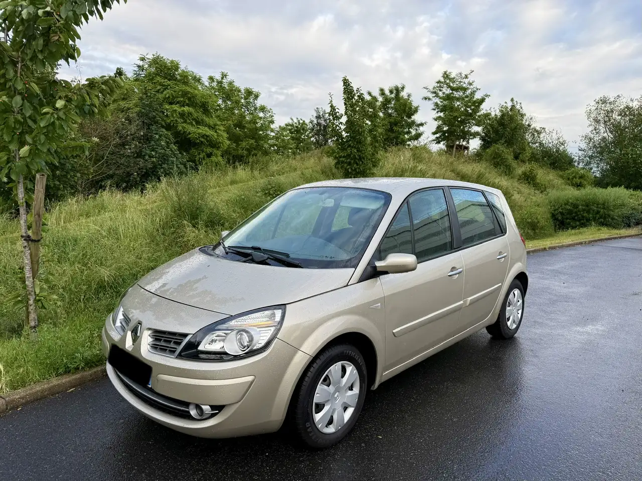 Renault Scenic 1.4 16V