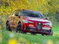 Alfa Romeo Stelvio Stelvio Quadrifoglio 2,9 V6 ATX AWD Quadrifoglio Rot - thumbnail 14