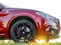 Alfa Romeo Stelvio Stelvio Quadrifoglio 2,9 V6 ATX AWD Quadrifoglio Rot - thumbnail 8