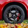 Alfa Romeo Stelvio Stelvio Quadrifoglio 2,9 V6 ATX AWD Quadrifoglio Rot - thumbnail 10