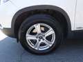 Kia Sorento 2,2 CRDi Active Pro DPF 4WD Aut. Weiß - thumbnail 26
