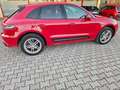 Porsche Macan 2.0 T Rosso - thumbnail 11