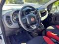 Fiat Panda 1,2 69 *Pop* nur 23000 km Weiß - thumbnail 10
