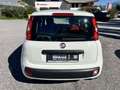 Fiat Panda 1,2 69 *Pop* nur 23000 km Weiß - thumbnail 5