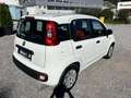 Fiat Panda 1,2 69 *Pop* nur 23000 km Weiß - thumbnail 4