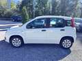 Fiat Panda 1,2 69 *Pop* nur 23000 km Weiß - thumbnail 3