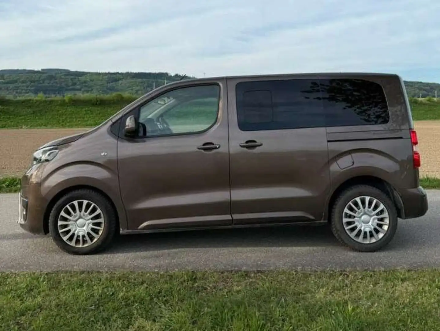 Toyota Proace Pro Ace 2,0 D-4D 180 L2 Lang Braun - 2