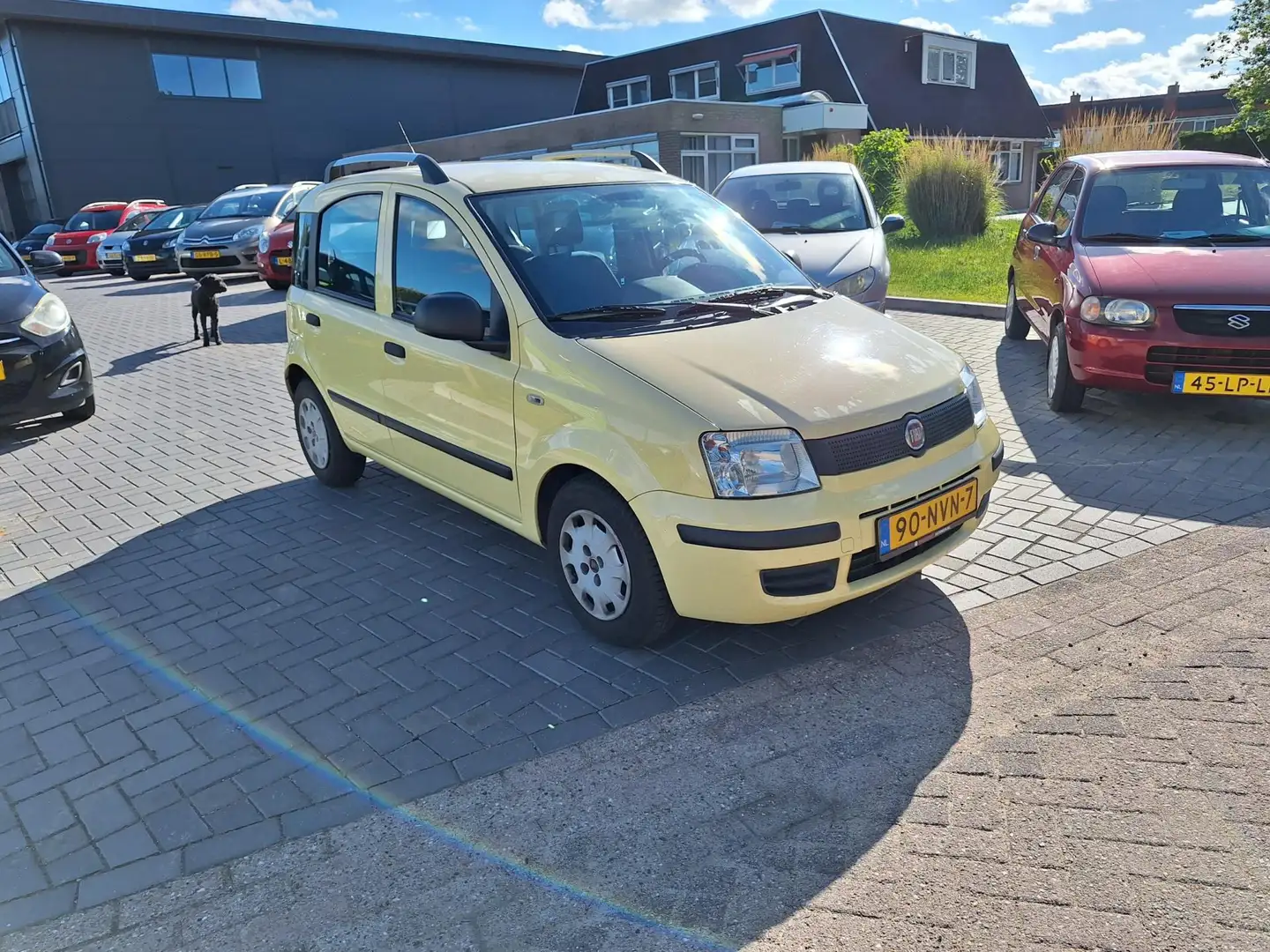 Fiat Panda 1.2 Active / Hoge instap / APK november 2026 Geel - 2