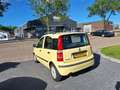 Fiat Panda 1.2 Active / Hoge instap / APK november 2026 Geel - thumbnail 4