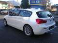 BMW 116 116 d Efficient Dynamics Sport Line Weiß - thumbnail 3