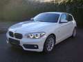 BMW 116 116 d Efficient Dynamics Sport Line Weiß - thumbnail 1