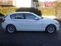 BMW 116 116 d Efficient Dynamics Sport Line Weiß - thumbnail 6