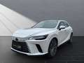 Lexus RX 350h 350 h 4x4 Executive Line Pano.Tech-Pake Weiß - thumbnail 1