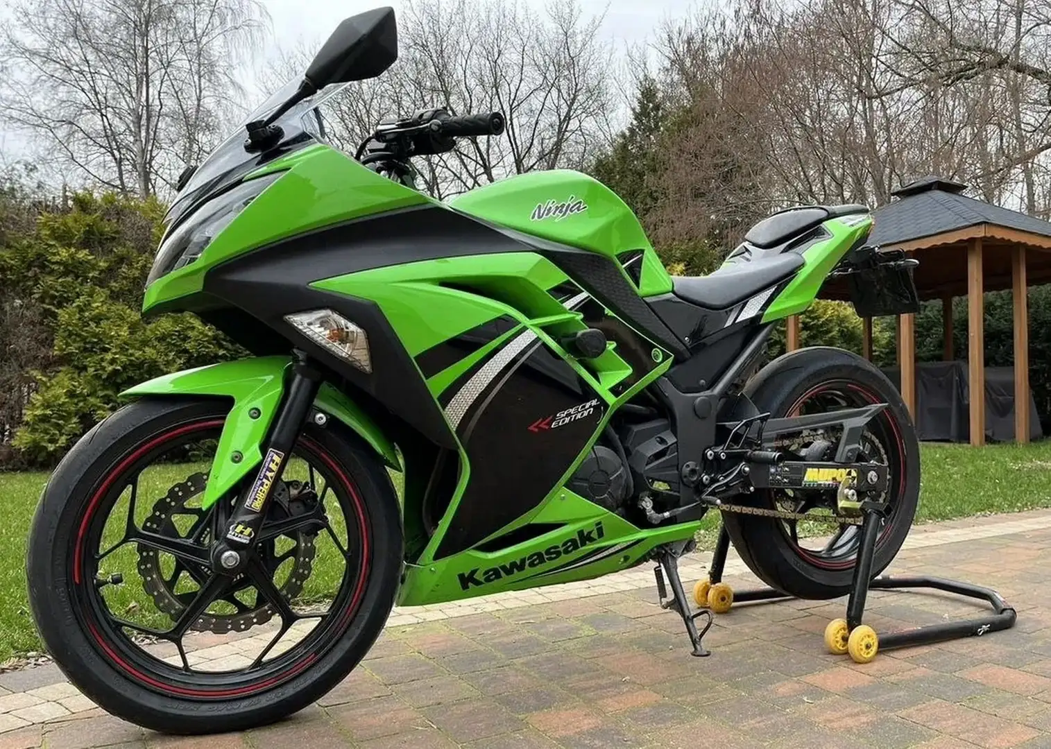 Kawasaki Ninja 300 ABS Зелений - 1