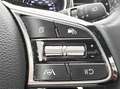 Kia Ceed SW / cee'd SW 1.0 AHK SHZ LHZ M+S-Allw. wireless CarPlay Android Weiß - thumbnail 24