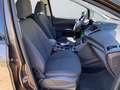 Ford C-Max Business Edition 1.5 EcoBoost TEMP NAV Maro - thumbnail 10