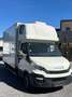 Iveco Daily PERMIS B CAISSE + HAYON Blanc - thumbnail 10