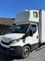 Iveco Daily PERMIS B CAISSE + HAYON Blanc - thumbnail 2