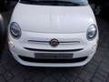 Fiat 500 1.0 Hybrid IDONEA NEOPATENTATI!! Bianco - thumbnail 9
