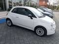 Fiat 500 1.0 Hybrid IDONEA NEOPATENTATI!! Bianco - thumbnail 3