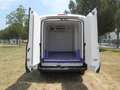 Ford Transit FT 350 L3 Van Trend 183 Blanco - thumbnail 14