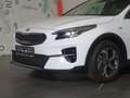 Kia XCeed Xceed 1,5 TGDI 48V GPF Silber DCT *LED, NAVI, RFK* Weiß - thumbnail 22