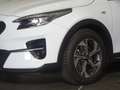 Kia XCeed Xceed 1,5 TGDI 48V GPF Silber DCT *LED, NAVI, RFK* Weiß - thumbnail 21