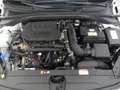 Kia XCeed Xceed 1,5 TGDI 48V GPF Silber DCT *LED, NAVI, RFK* Weiß - thumbnail 18