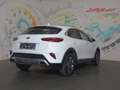Kia XCeed Xceed 1,5 TGDI 48V GPF Silber DCT *LED, NAVI, RFK* Weiß - thumbnail 4