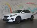 Kia XCeed Xceed 1,5 TGDI 48V GPF Silber DCT *LED, NAVI, RFK* Weiß - thumbnail 20