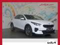 Kia XCeed Xceed 1,5 TGDI 48V GPF Silber DCT *LED, NAVI, RFK* Weiß - thumbnail 1
