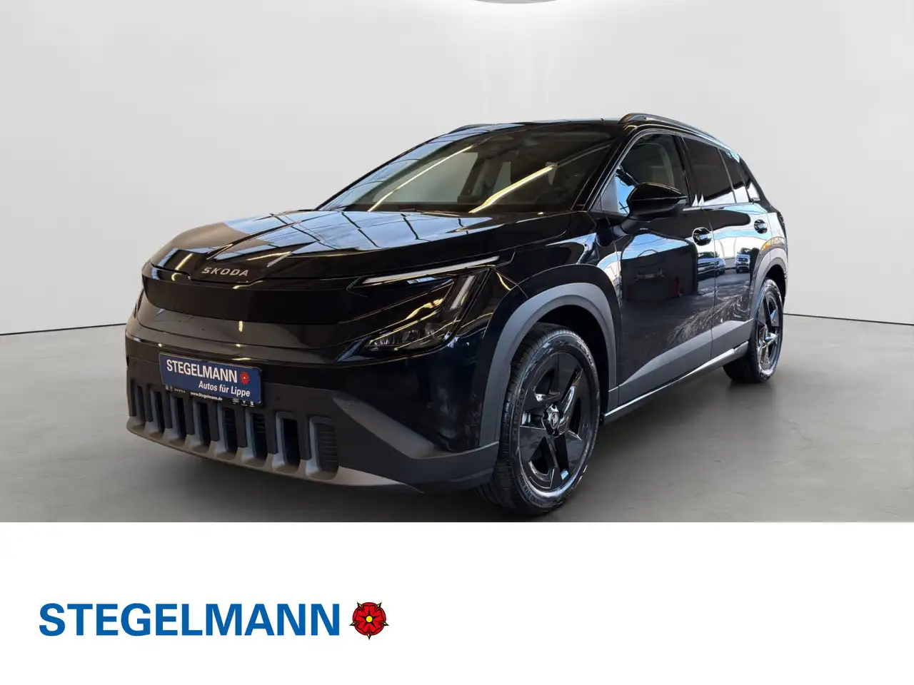 Skoda Epiq