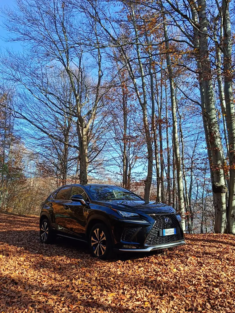 Lexus NX 300h F-Sport  4WD - 1