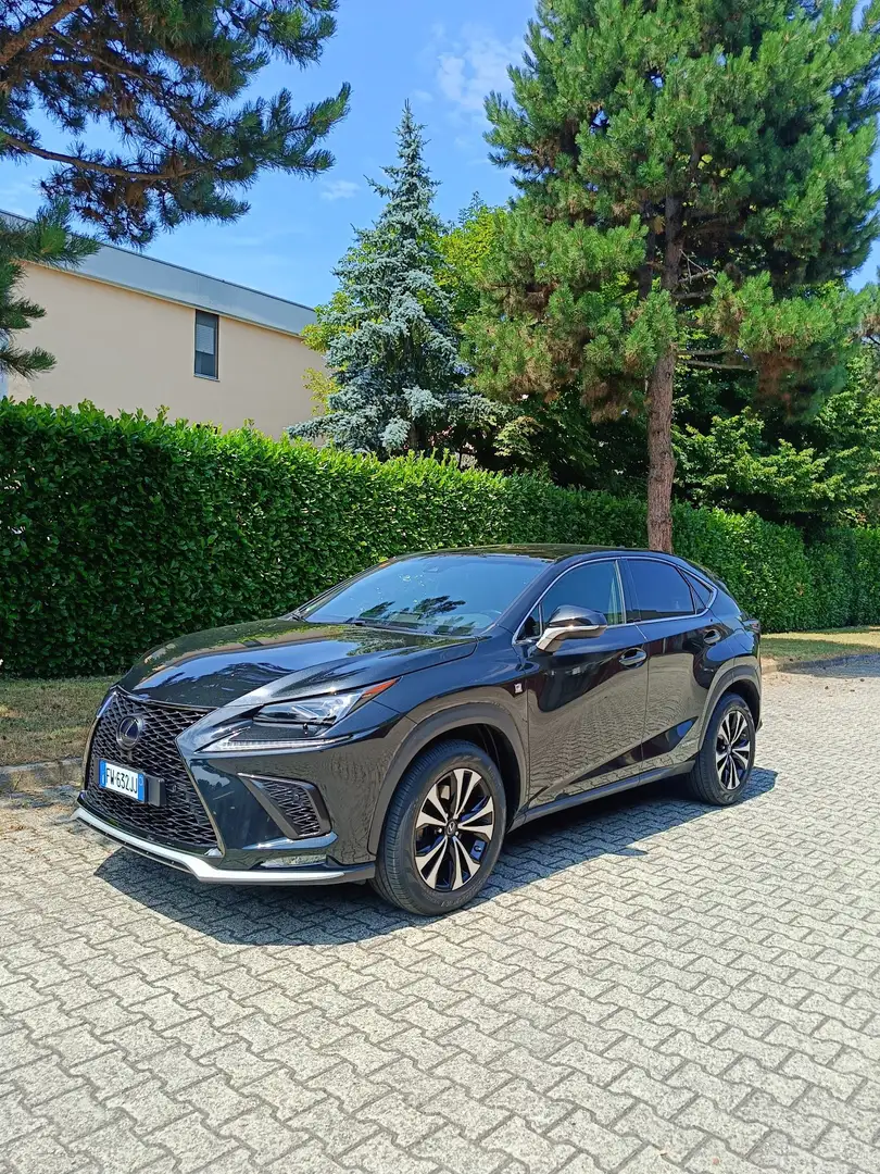 Lexus NX 300h F-Sport  4WD - 2