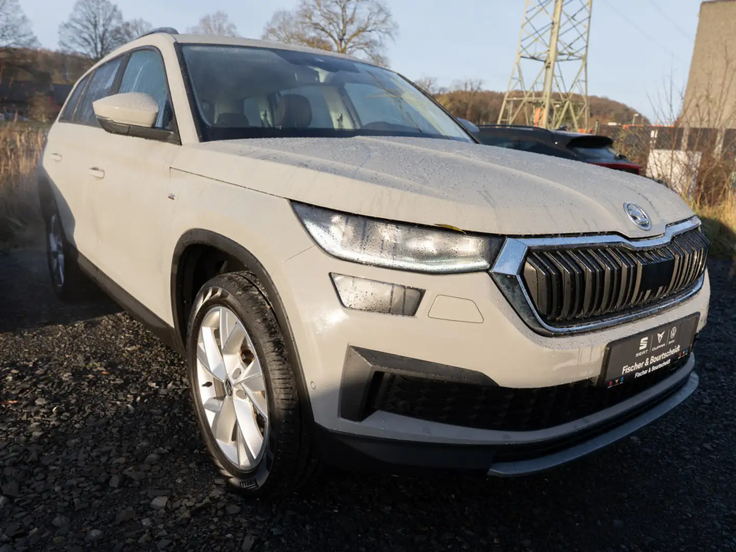 Skoda Kodiaq 2.0 TSI Clever 4x4 DSG NAVI 360° LED S Grau - 2