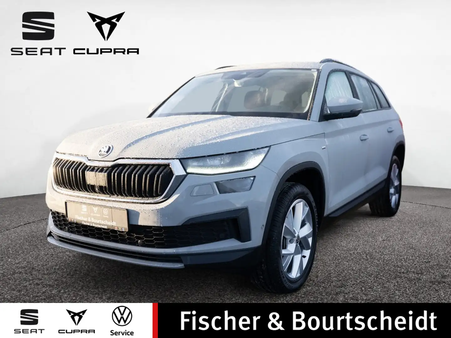 Skoda Kodiaq 2.0 TSI Clever 4x4 DSG NAVI 360° LED S Grau - 1