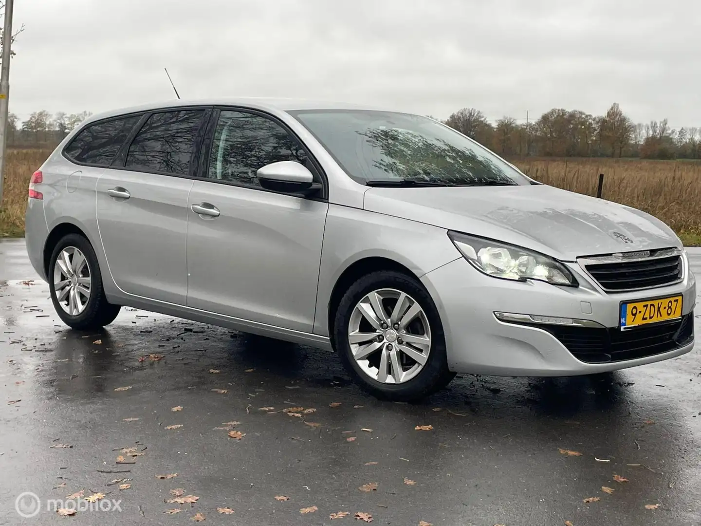 Peugeot 308 SW 1.2 PureTech Active Grau - 2
