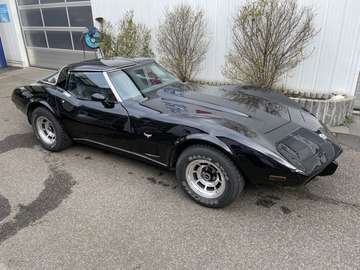 Anniversary Model Targa