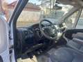 Citroen Jumper 35 L4 Heavy HDI 130 FAP Wit - thumbnail 10