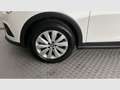 SEAT Arona 1.0 TSI 81kW (110CV) Style Go Eco Blanco - thumbnail 21