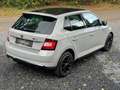 Skoda Fabia 1.2 TSI Monte Carlo Nardo Grey UNIEK PANORAMADAK L Gris - thumbnail 8