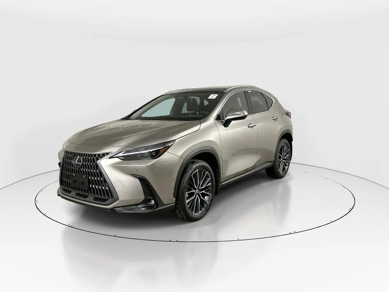 Lexus NX fotografie Lexus NX