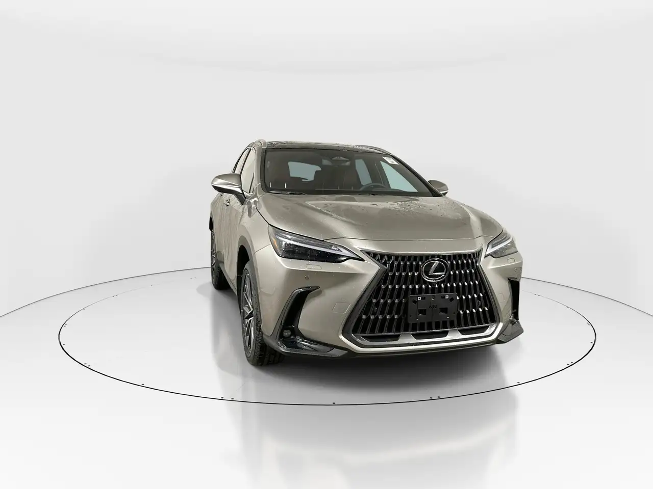 Lexus NX fotografie Lexus NX