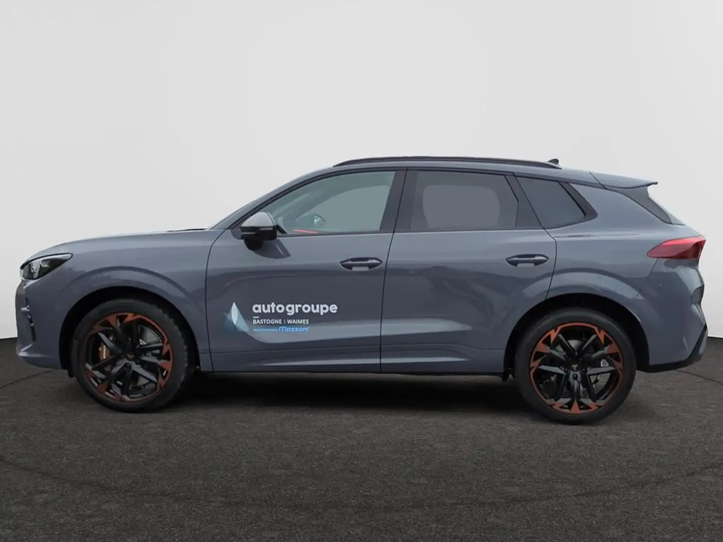 CUPRA Terramar VZ 2.0 TSI 265ch DSG 4Drive Grijs - 2