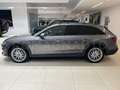 Audi A4 allroad A4 allroad 40 TDI 204 CV S tronic Business Evolut Grigio - thumbnail 8