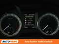 Skoda Octavia 2.0 TDI Style 4x4 Grau - thumbnail 20