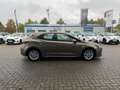 Toyota Corolla Business Edition *Sitzheizung *Lenkradheizung Bronze - thumbnail 5
